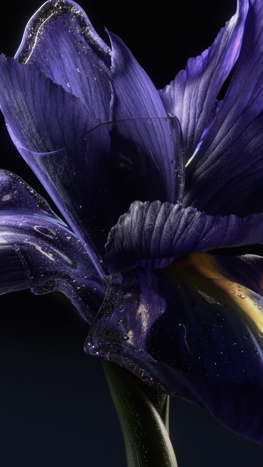 CGI for LOEWE Crafted Collection 